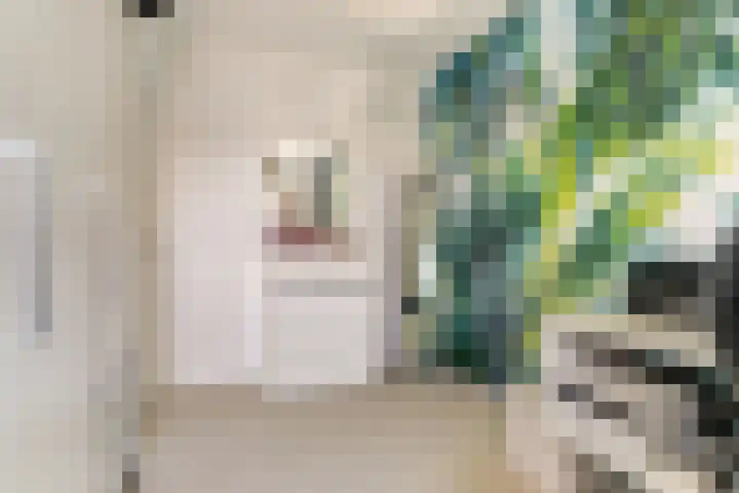 Meidoornstraat 7 Grathem thumbnail 36