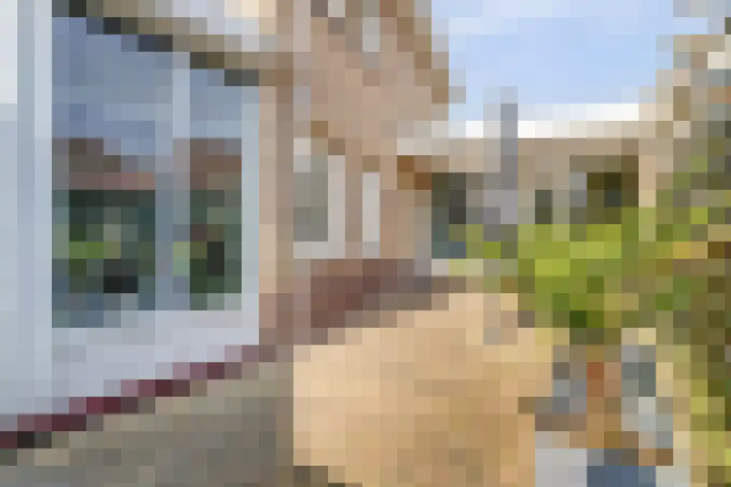 Meidoornstraat 7 Grathem thumbnail 45