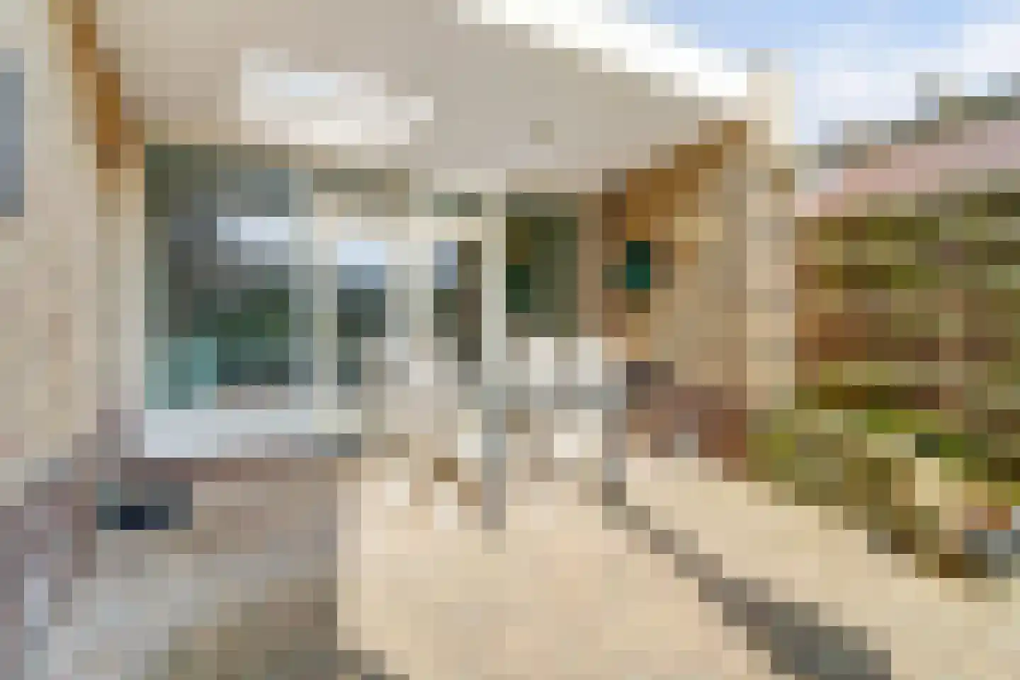 Meidoornstraat 7 Grathem thumbnail 47