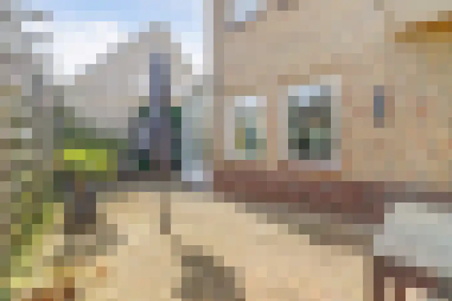 Meidoornstraat 7 Grathem thumbnail 49
