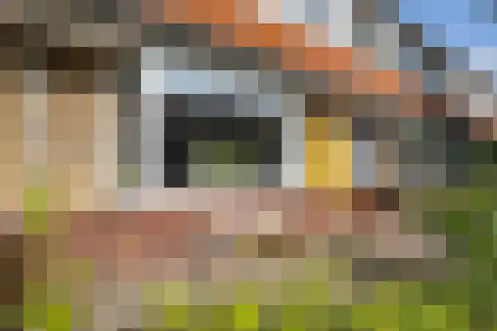 Meidoornstraat 7 Leeuwarden thumbnail 34