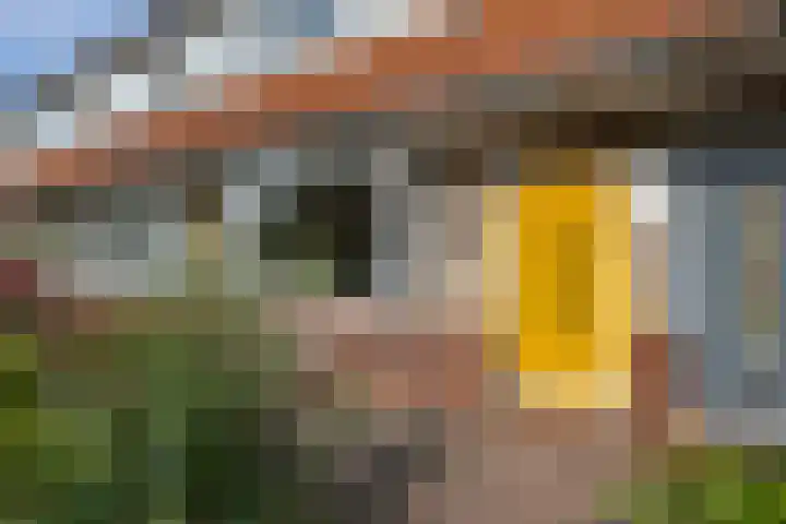 Meidoornstraat 7 Leeuwarden thumbnail 36