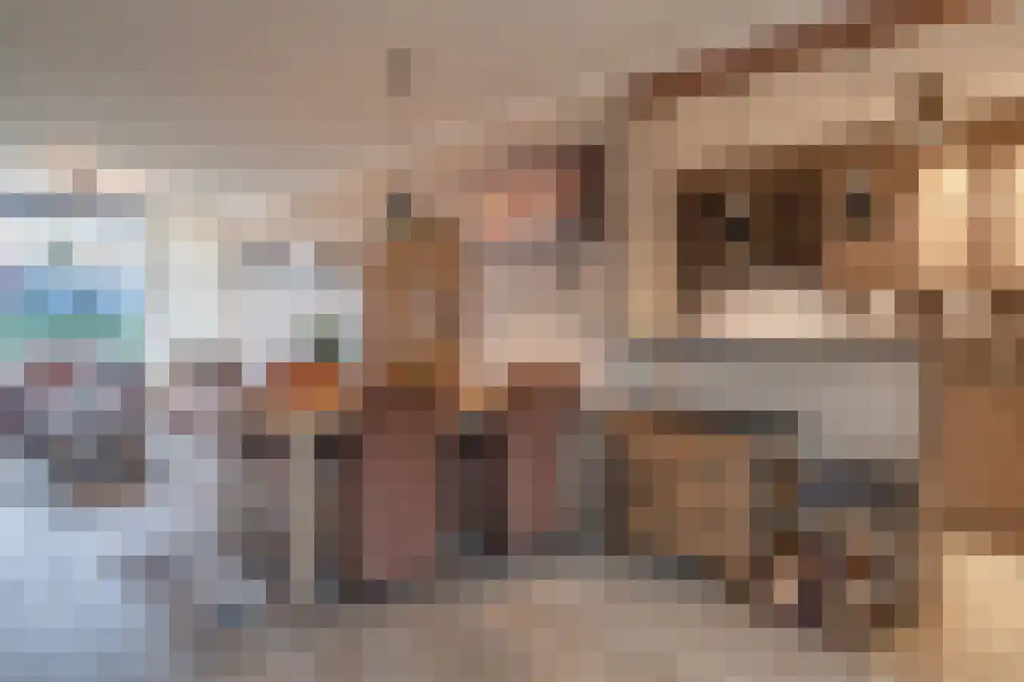 Meidoornstraat 7 Sint-Maartensdijk thumbnail 15