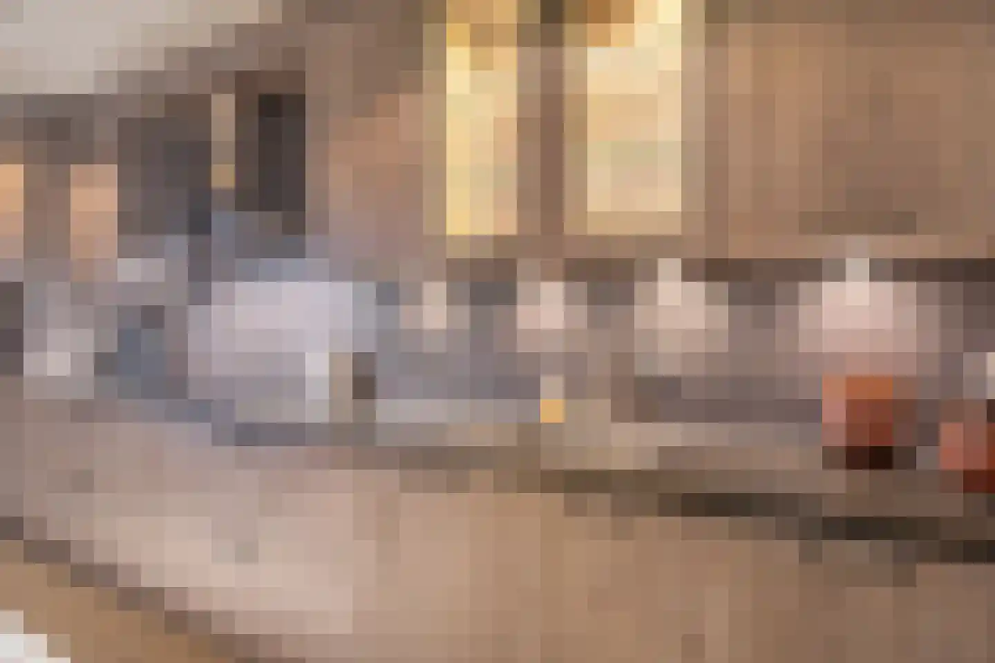 Meidoornstraat 7 Sint-Maartensdijk thumbnail 17