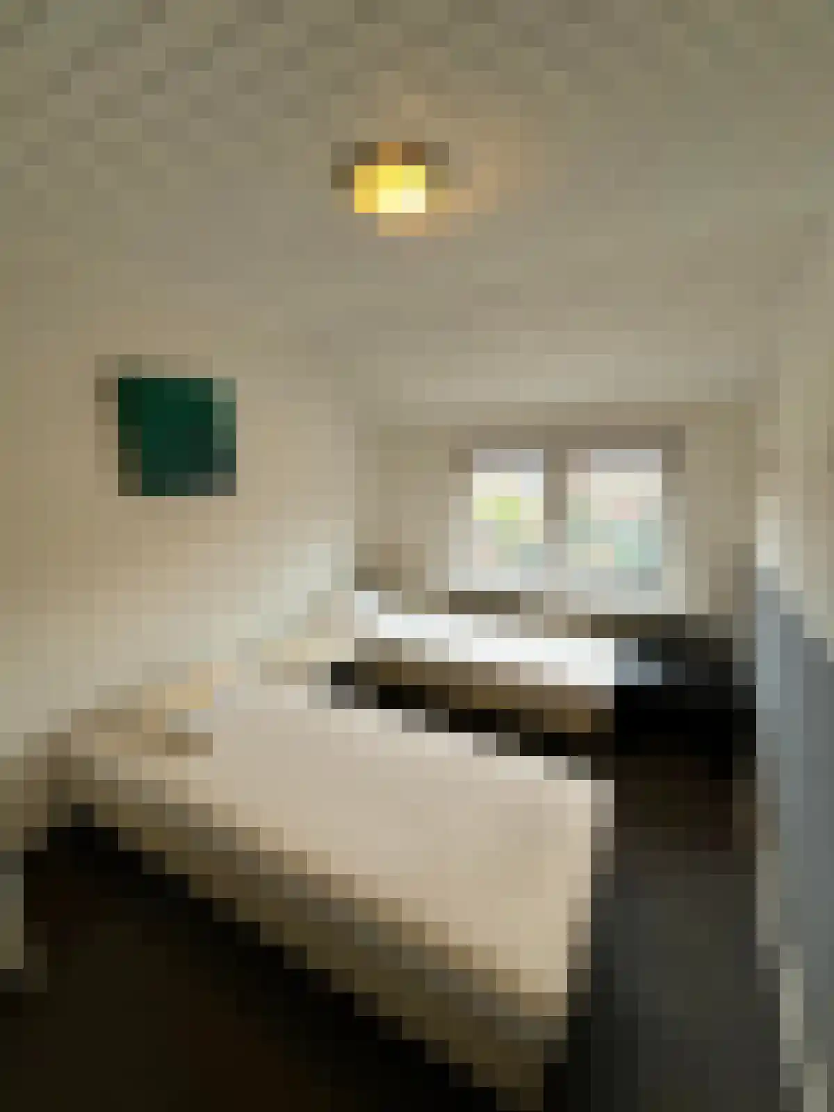 Meidoornstraat 7 Terneuzen thumbnail 4