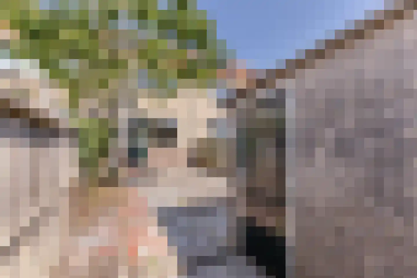 Meidoornstraat 72 Zaandam thumbnail 9