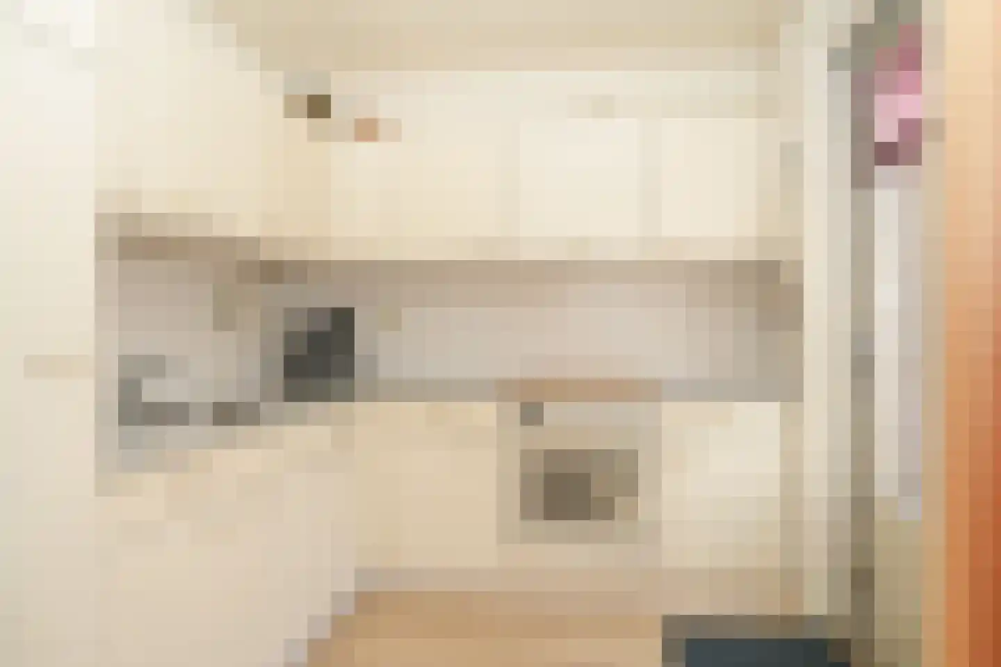 Meidoornstraat 8 Boven-Leeuwen thumbnail 11