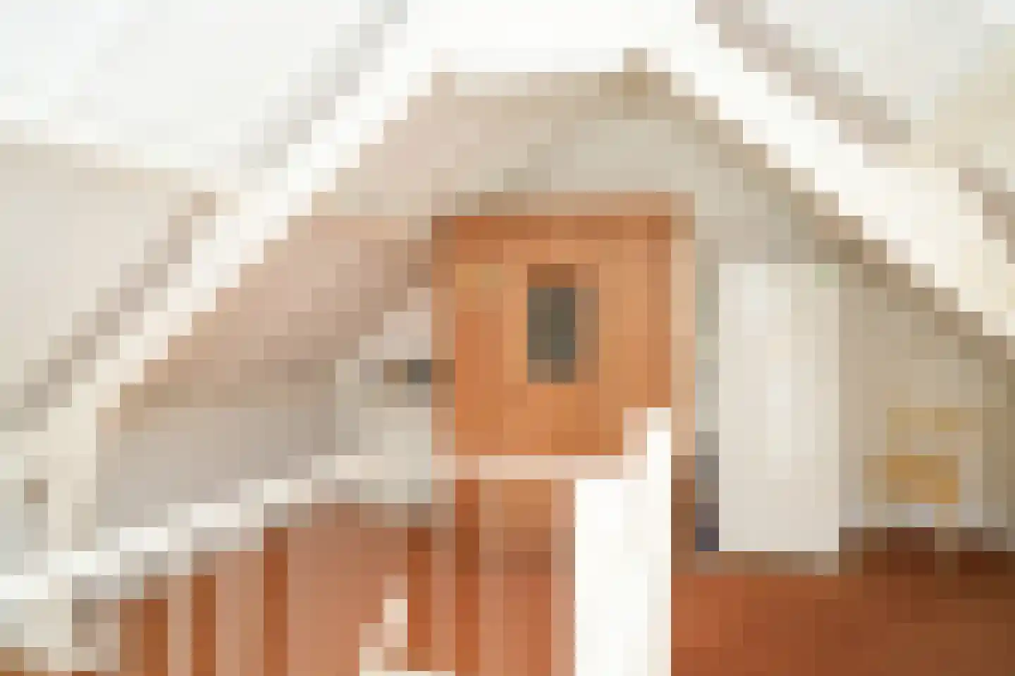 Meidoornstraat 8 Boven-Leeuwen thumbnail 22