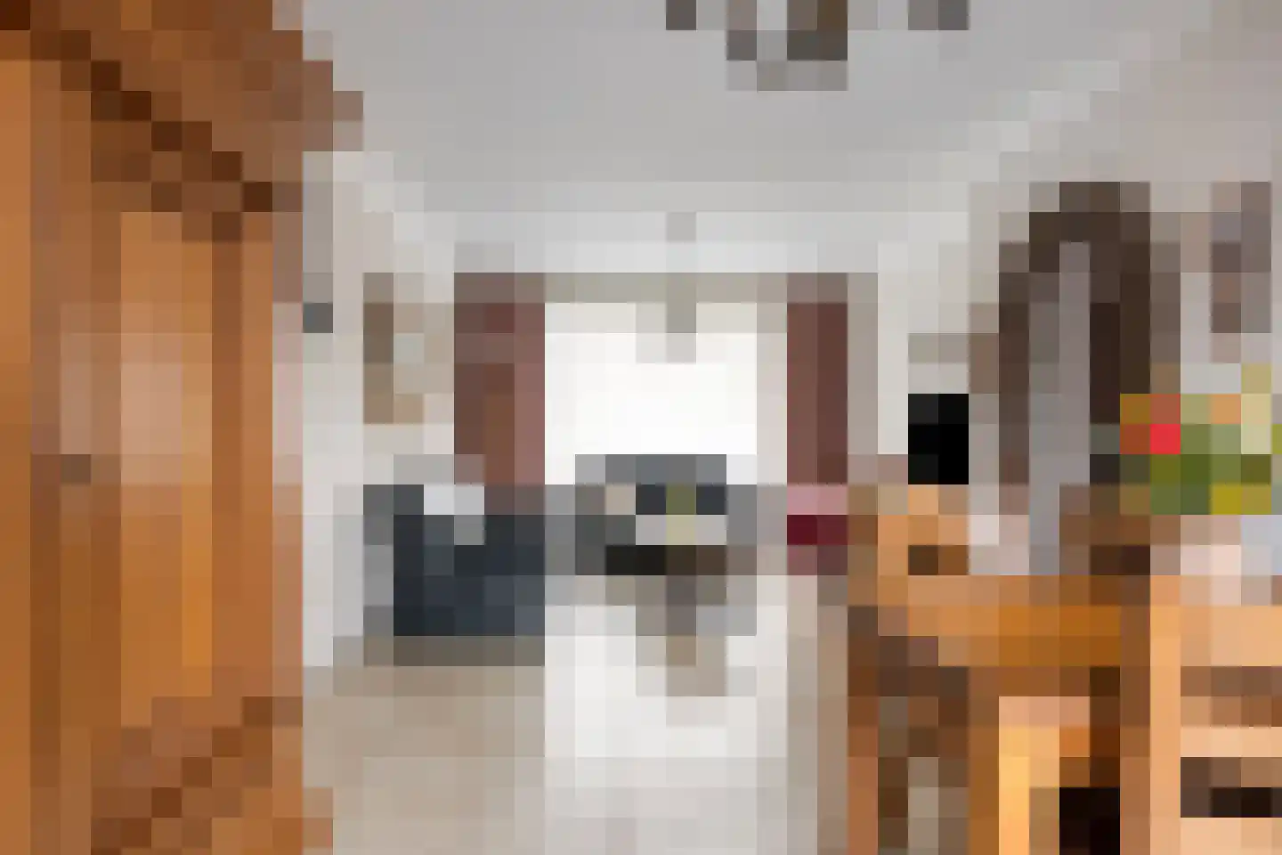 Meidoornstraat 9 Budel thumbnail 11