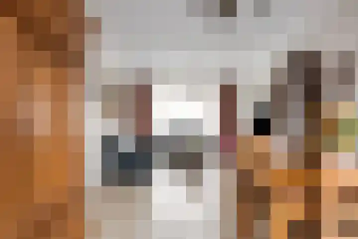 Meidoornstraat 9 Budel thumbnail 11
