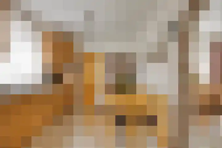 Meidoornstraat 9 Budel thumbnail 13