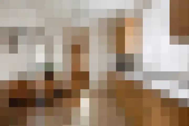 Meidoornstraat 9 Budel thumbnail 15