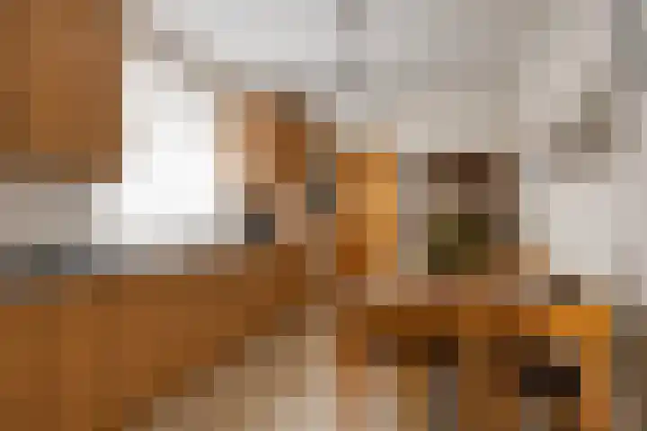 Meidoornstraat 9 Budel thumbnail 16