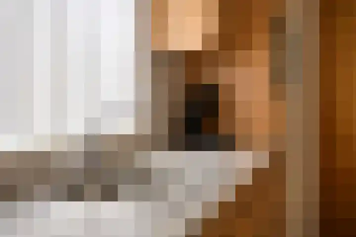 Meidoornstraat 9 Budel thumbnail 17