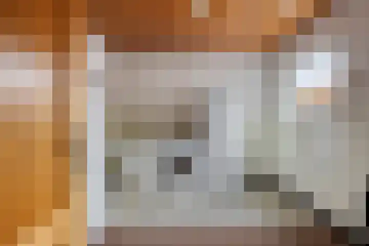 Meidoornstraat 9 Budel thumbnail 18