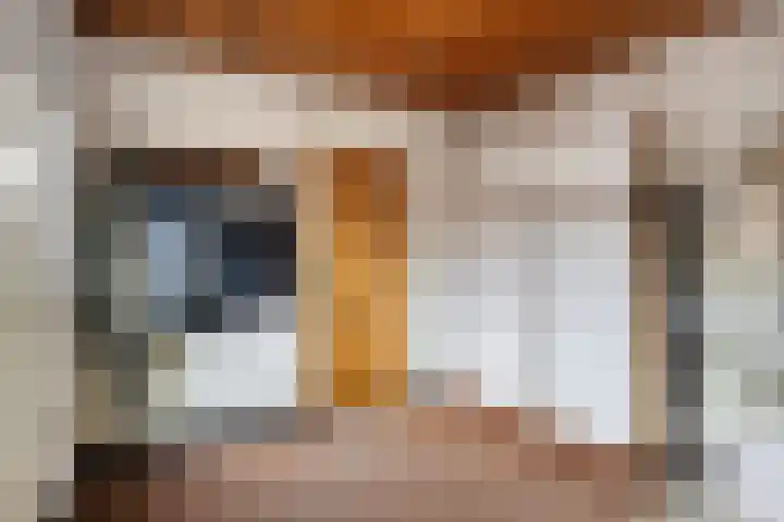 Meidoornstraat 9 Budel thumbnail 19