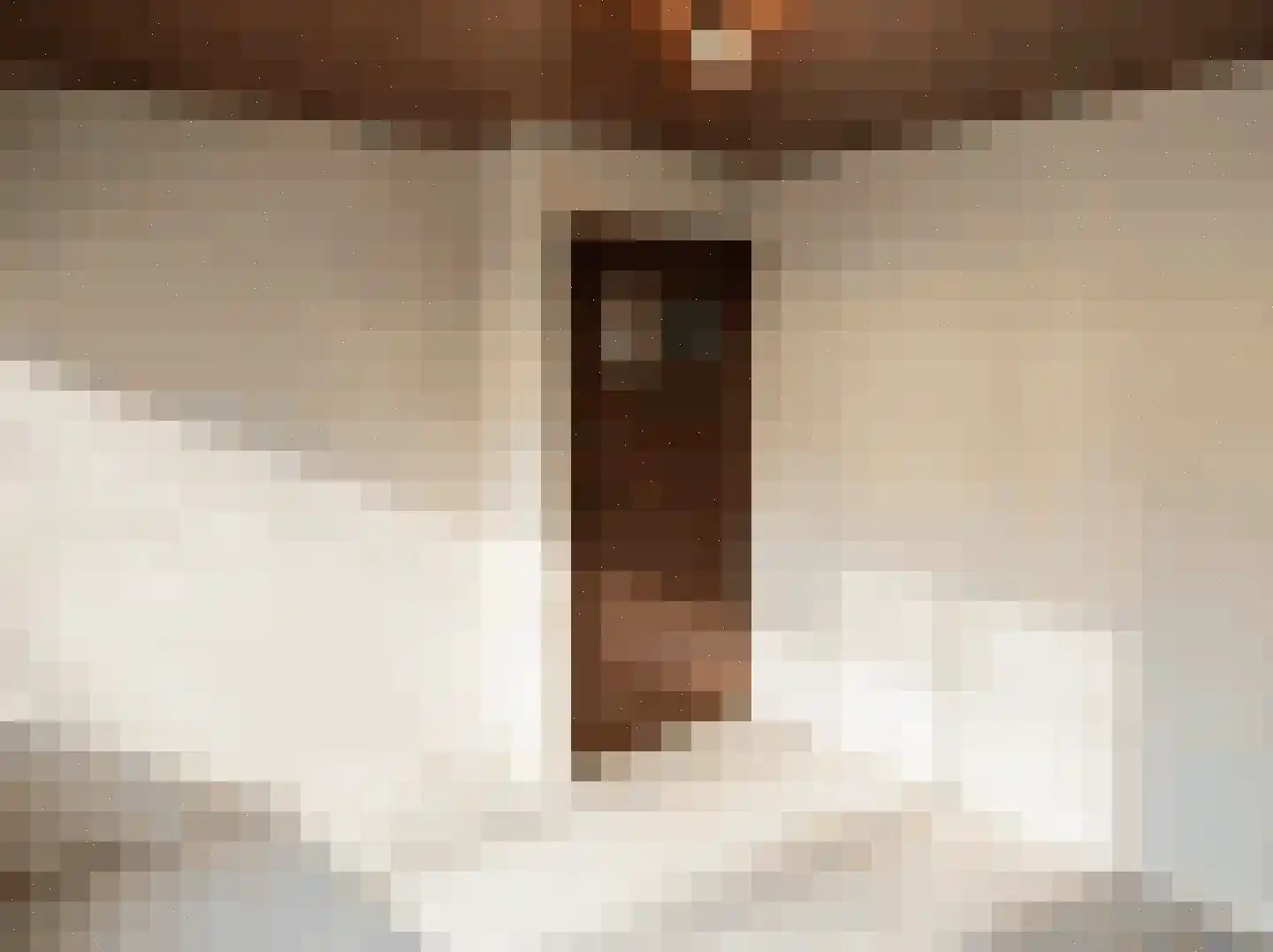 Meidoornstraat 9 Budel thumbnail 19