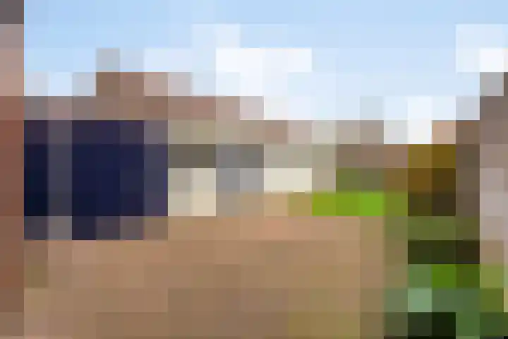 Meidoornstraat 9 Budel thumbnail 31
