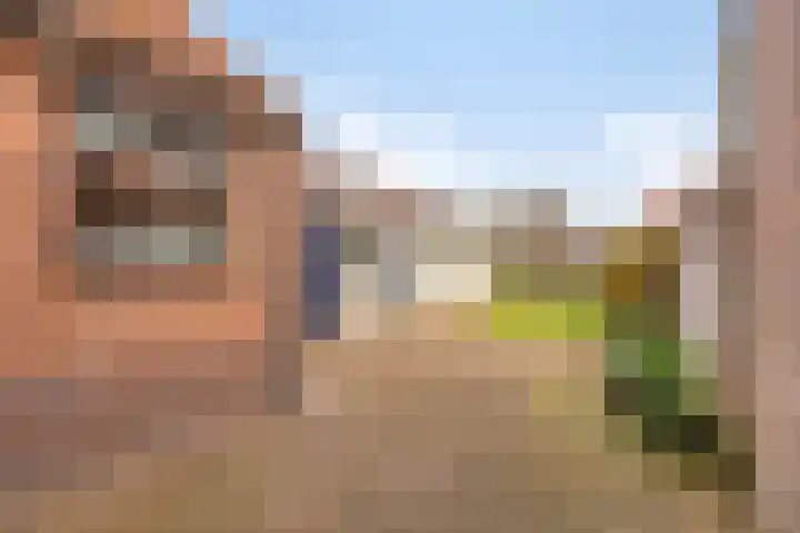 Meidoornstraat 9 Budel thumbnail 33