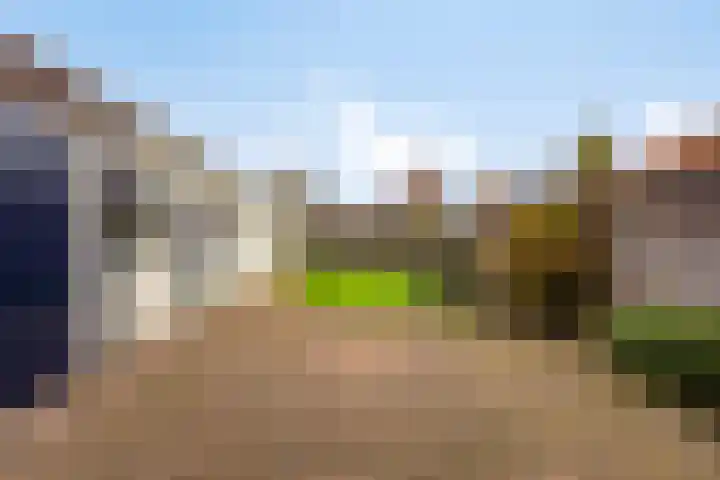 Meidoornstraat 9 Budel thumbnail 34