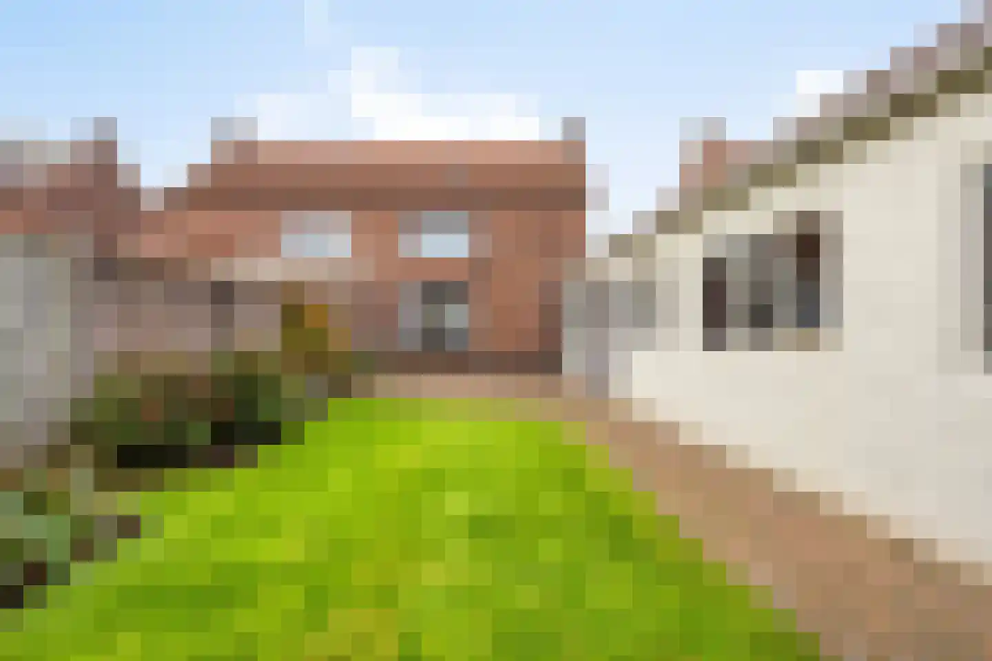 Meidoornstraat 9 Budel thumbnail 35