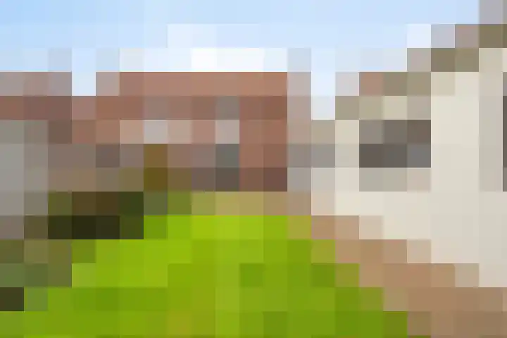 Meidoornstraat 9 Budel thumbnail 35