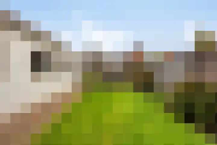 Meidoornstraat 9 Budel thumbnail 36