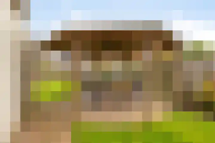 Meidoornstraat 9 Budel thumbnail 37