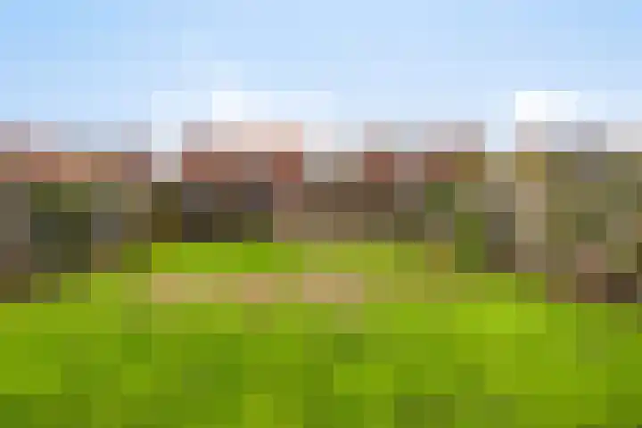 Meidoornstraat 9 Budel thumbnail 38