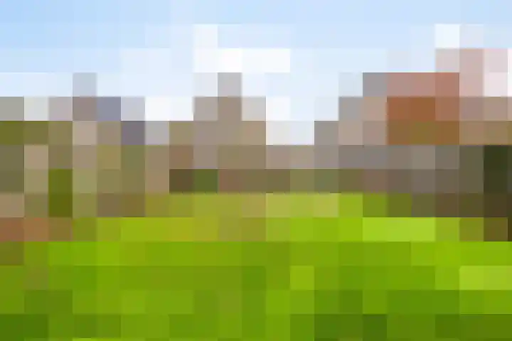 Meidoornstraat 9 Budel thumbnail 39