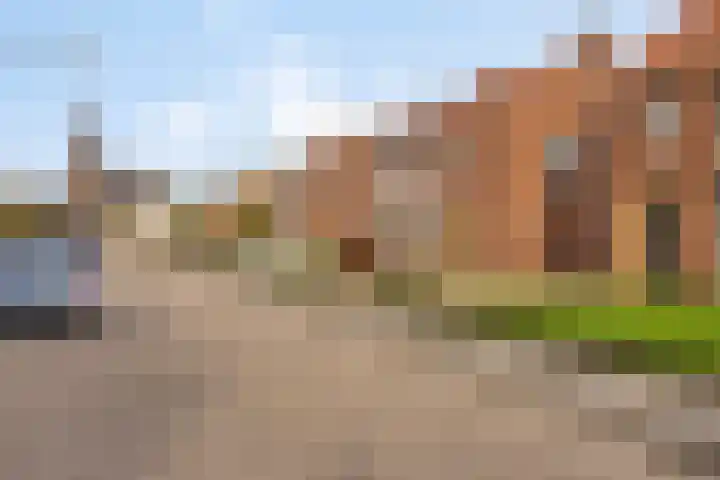 Meidoornstraat 9 Budel thumbnail 40