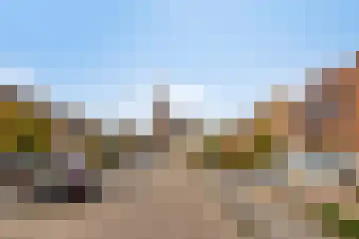 Meidoornstraat 9 Budel thumbnail 41