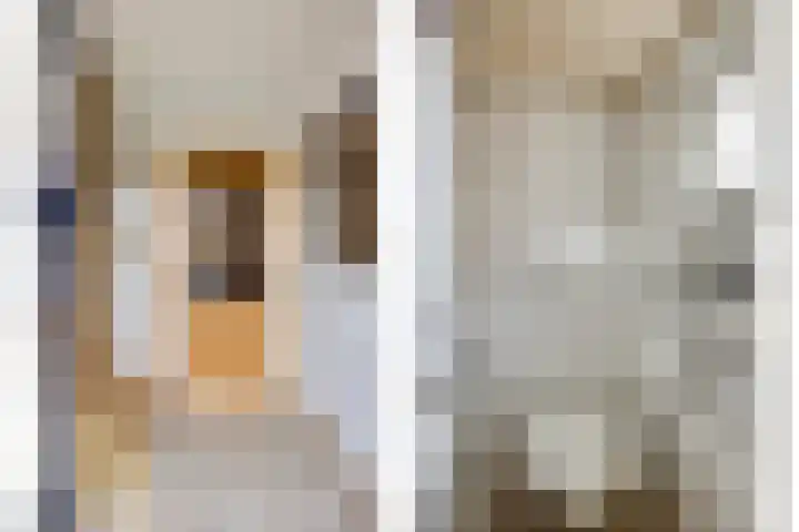 Meidoornstraat 9 Budel thumbnail 5
