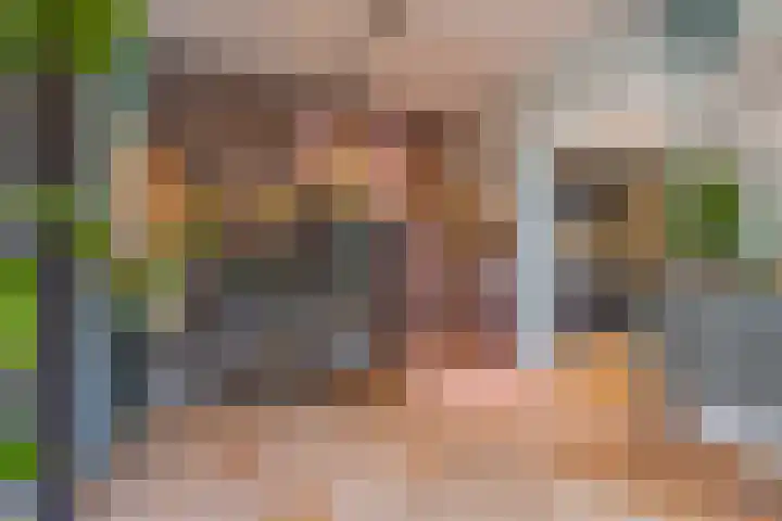 Meidoornstraat 9 Deest thumbnail 13