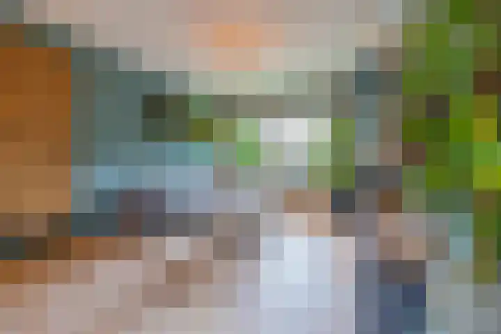 Meidoornstraat 9 Deest thumbnail 14