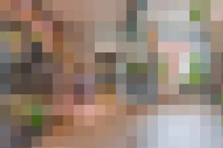 Meidoornstraat 9 Deest thumbnail 15