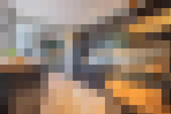 Meidoornstraat 9 Deest thumbnail 16