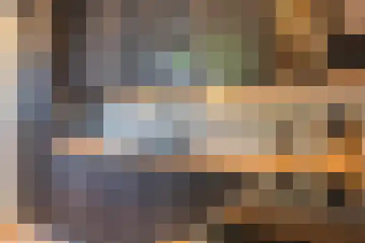 Meidoornstraat 9 Deest thumbnail 18