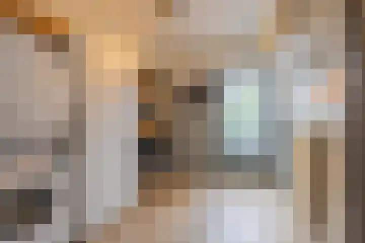 Meidoornstraat 9 Deest thumbnail 20
