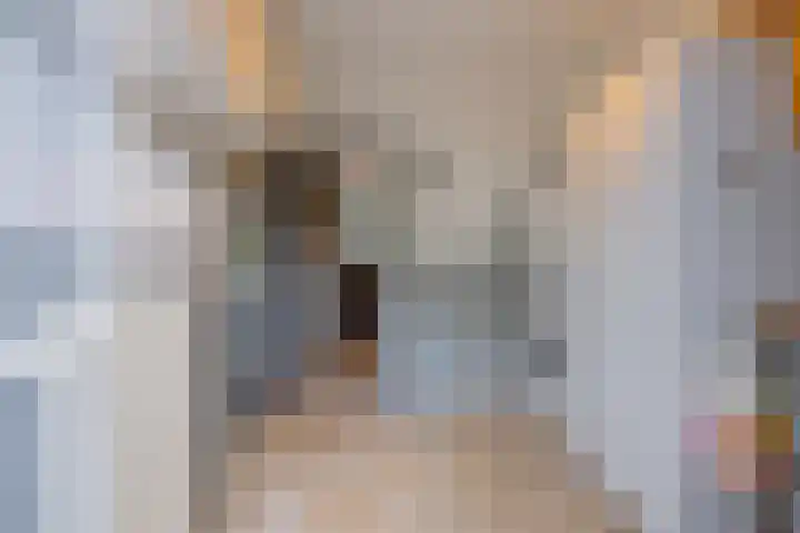 Meidoornstraat 9 Deest thumbnail 21
