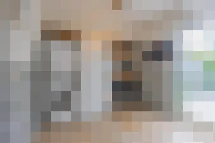 Meidoornstraat 9 Deest thumbnail 22