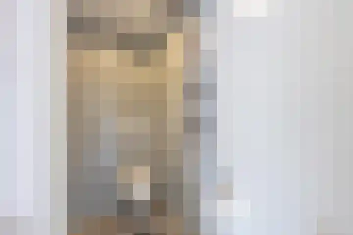 Meidoornstraat 9 Deest thumbnail 25