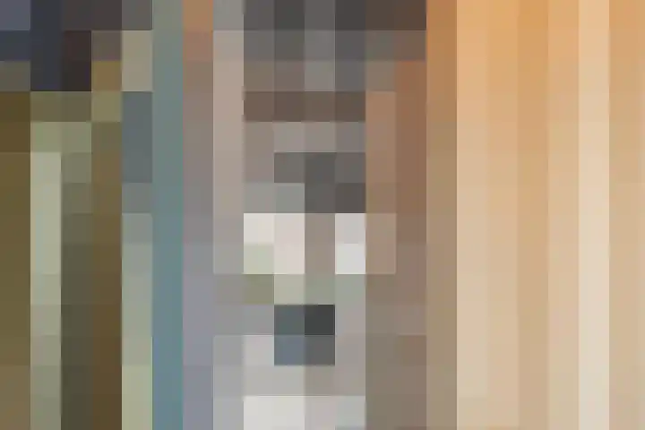 Meidoornstraat 9 Deest thumbnail 28