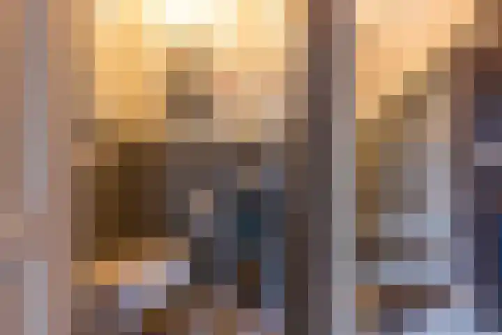 Meidoornstraat 9 Deest thumbnail 29