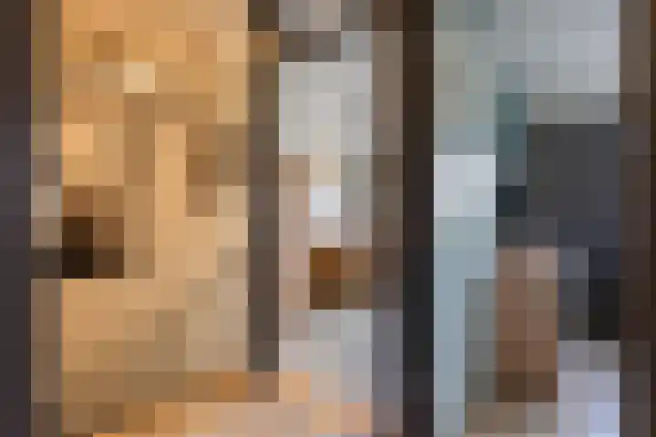Meidoornstraat 9 Deest thumbnail 30