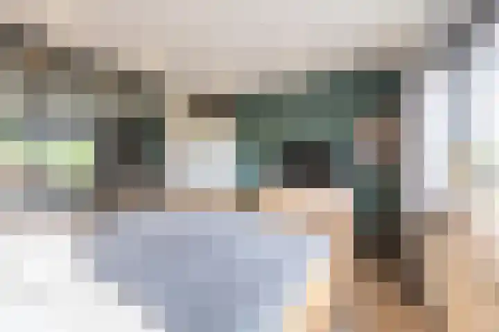 Meidoornstraat 9 Deest thumbnail 33