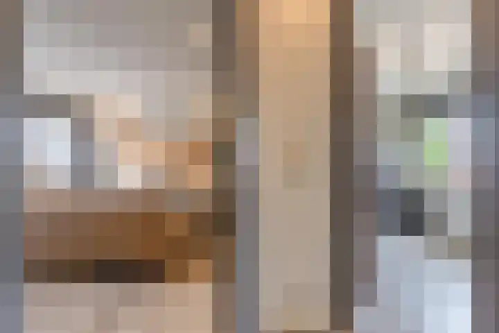 Meidoornstraat 9 Deest thumbnail 34