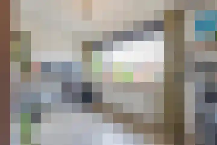 Meidoornstraat 9 Deest thumbnail 35