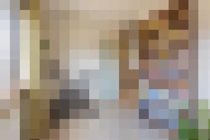 Meidoornstraat 9 Deest thumbnail 36