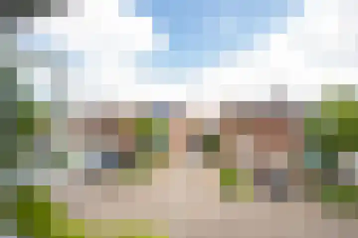 Meidoornstraat 9 Deest thumbnail 37